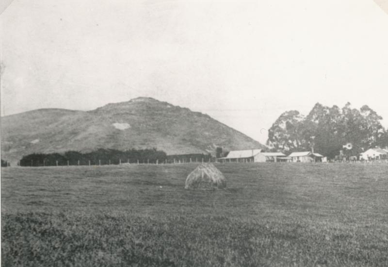 Farm Te Awamutu Museum