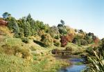 Centennial Park image item
