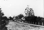 Te Awamutu