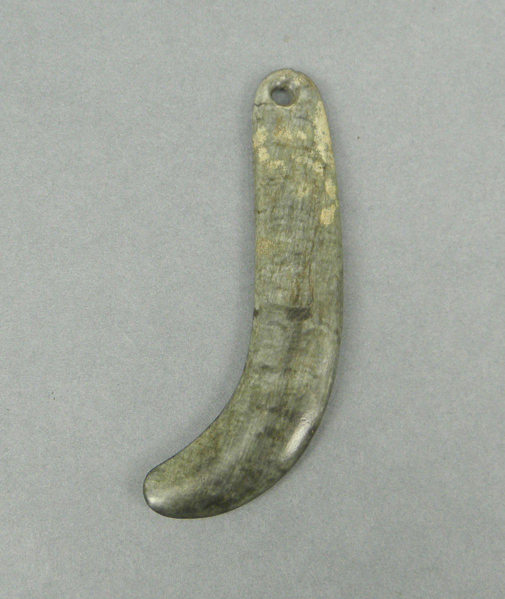 Ear pendant Te Awamutu Museum