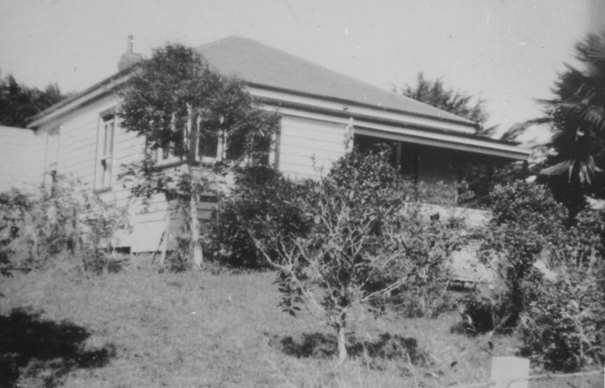 House Te Awamutu Museum