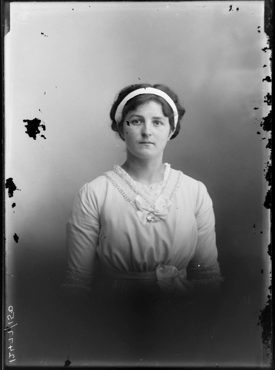 Glassplate negative Te Awamutu Museum