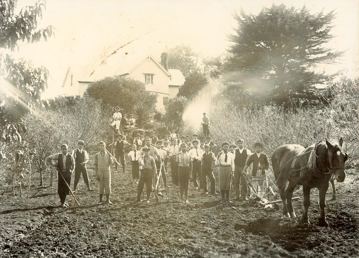 Farm workers Te Awamutu Museum