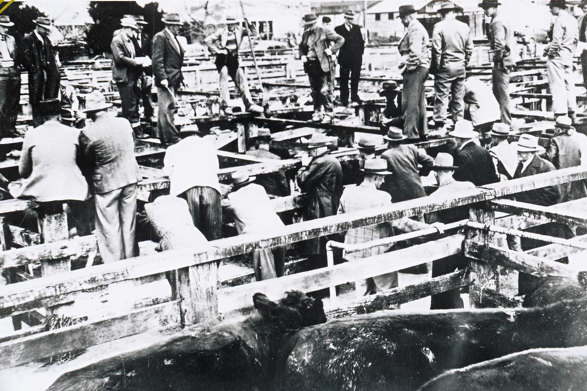 Saleyards Te Awamutu Museum