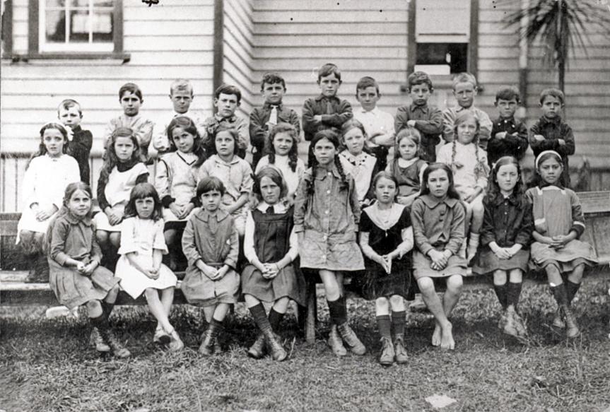 Roche Street School Pupils Te Awamutu Museum
