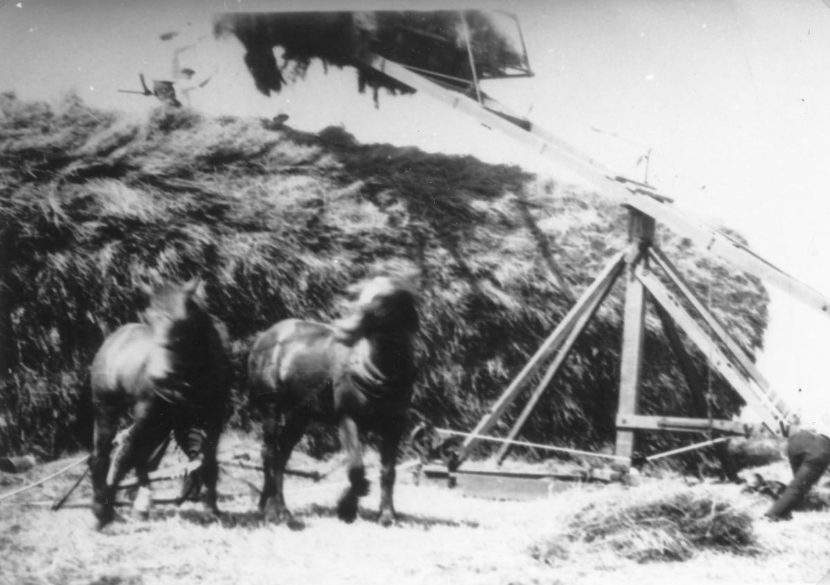 Kirkham Farm Te Awamutu Museum