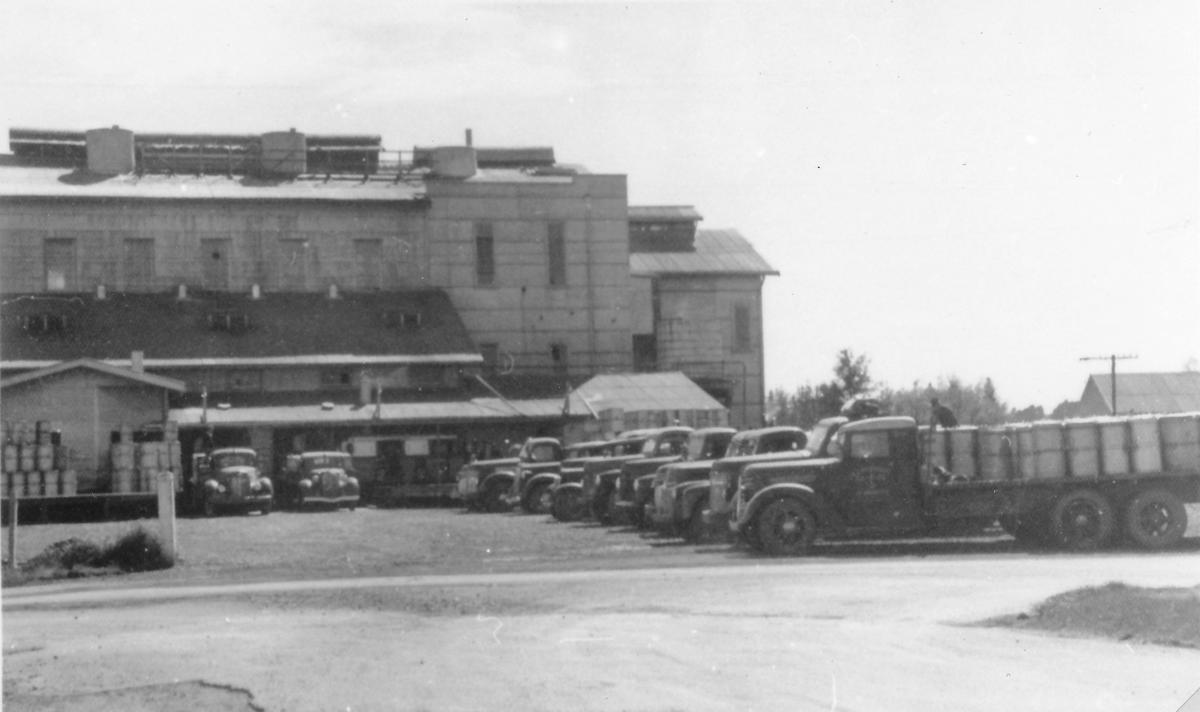 New Zealand Dairy Company Te Awamutu Museum